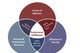 Stanford Medicine Model of Wellness & Professional Fulfillment